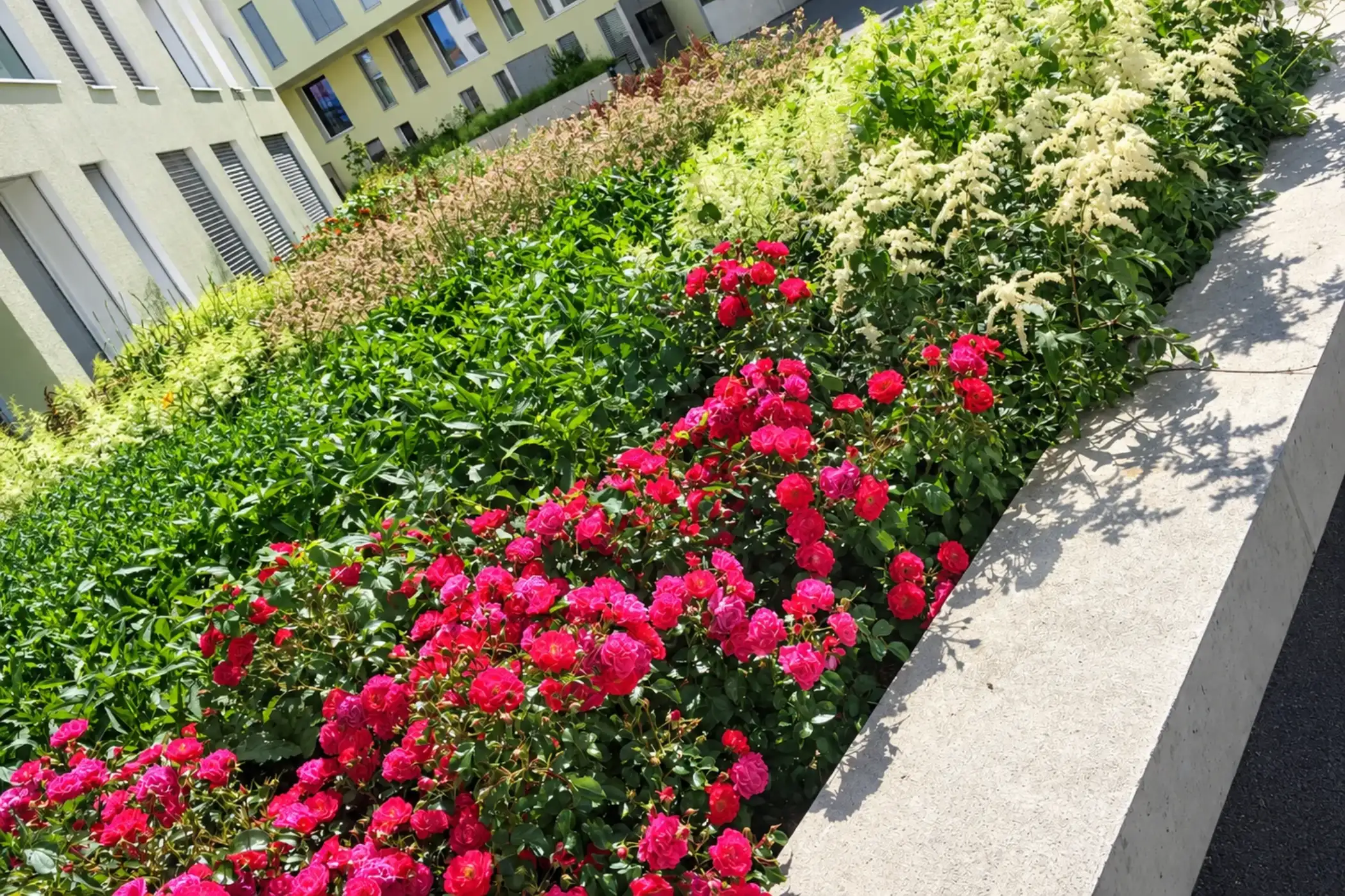 Entretien de jardin, taille et élagage